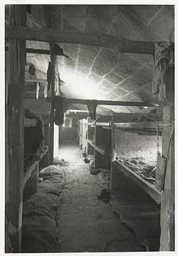 Auschwitz II. Innenansicht einer Häftlingsbaracke des Frauenlagers (BI). Oświęcim, 1945 - Foto: St. Mucha (© Staatliches Museum Auschwitz-Birkenau)
